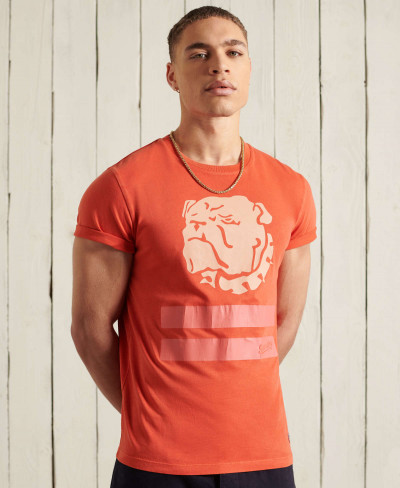 OVERDYE COLLEGIATE STATE TEE - Denim Co Rust